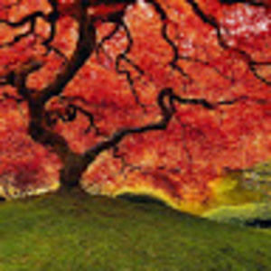 Meet your Posher, Asha